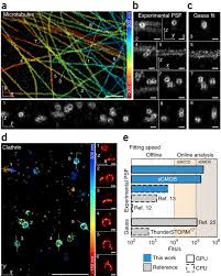 To make good pixel art you need to be able to make good drawings. Real Time 3d Single Molecule Localization Using Experimental Point Spread Functions Nature Methods