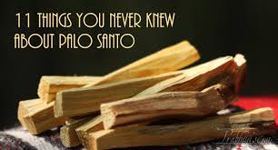 Palo Santo Benefits And How To Use This “Holy Wood” Responsibly - 5 Minutes  For Mom