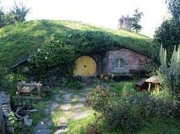 pin on plant matter gardening house plants