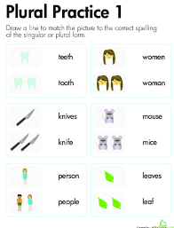 More Than One Irregular Plural Nouns Lesson Plan