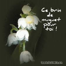 Https Encrypted Tbn0 Gstatic Com Images Q Tbn 3aand9gcsoeslfigbrxbvsj58vvxmn6htois9uxbquvq Usqp Cau