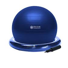 I don't have one of those $500+ herman miller ergonomic chairs, but do have a lumbar support roll for my desk chair, which is sized small enough. Gaiam Essentials Balance Ball Base Kit 65cm Yoga Ball Chair Exercise Ball With Inflatable Ring Base For Home Or Office Desk Includes Air Pump Navy Walmart Com Walmart Com