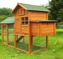 Zoopplier Poulailler résistant aux intempéries XXL Grande caille Collosus  en Bois Massif Convient pour 2 à 4 Poules et 4 Poulets également comme ...