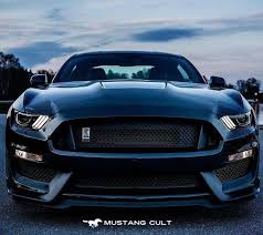 Midnight Black Ford Mustang Gt Mustang Shelby Mustang