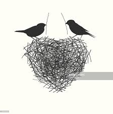 Tan Bird With Black And White Wings Two Birds Making Heir Nest Love And Labor Concept Nest Art Bird Logo Design Illustration Art Design