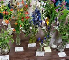This business listing is provided by Central Oregon Wildflower Show Bend Branches