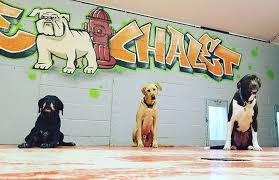 Toby Ferris Hazel Rescuedogs Njdogs Glenridge Dogs Graffiti Graffitiart Thedoggiechalet Doggy Rescue Dogs Graffiti Art