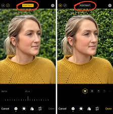 Use automatic camera shake reduction. How To Blur Background In Your Iphone Photos The Ultimate Guide