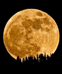 Der supermond wird zum blutmond und leuchtet in roten und orangen tönen, wenn der erdtrabant in den kernschatten mai 2022 an. Die 11 Besten Ideen Zu Roter Mond Roter Mond Mond Rot