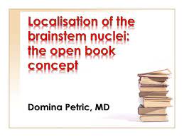The cochlear nucleus, the superior olivary. Localisation Of The Brainstem Nuclei The Open Book Concept Ppt Download