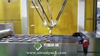 Industrial Food Load Delivery Parcel Sorting Cookie Biscuit Ferrero Rocher  Hotel Chocolate Robot Delta Arm 4 Axis