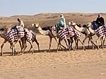 Camel racing the special attraction of falaj al mualla is camel racing in lubsah. Labsah Wikipedia