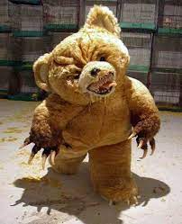 Pin On Bears
