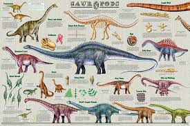 sauropods worlds largest animals