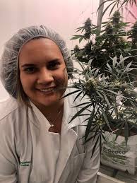 CANNABIS PROFESSIONALS