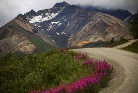 The denali sled dogs are working dogs, hauling freight and scientists and rangers on winter back country patrol of the mostly wilderness park. 9 Things You Didn T Know About Denali National Park And Preserve U S Department Of The Interior
