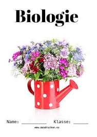 Biologie Deckblatt Pflanzen Deckblatt Bio Deckblatt Biologie