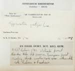 Image result for Hippocratea goetzei