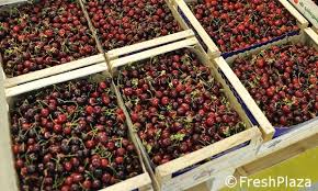 Jul 15, 2021 · how many days until 31 may? Dual Situation When It Comes To Cherries