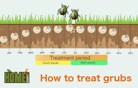 Maybe you would like to learn more about one of these? Home And Garden How To Get Rid Of Grubs Prevent Grubs In Your Lawn