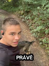 Ponaučení pro páníčka: Zábavné psí video