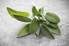 Daun kirinyuh, penyembuh luka, salep kirinyuh (euphatorium odoratum l.) mengandung senyawa flavonoid, saponin dan tanin yang memiliki kemampuan sebagai penyembuhan luka. Mengetahui Kandungan Dan Manfaat Daun Sage Bagi Kesehatan Alodokter
