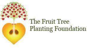From the album first edition (2010). Fruit Tree Planting Foundation Assistance For Fruit Orchards Se Ghana