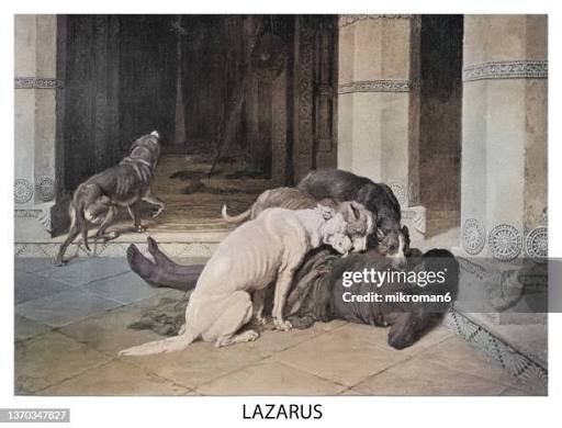 329 Lazarus Syndrome Stock Photos, High-Res Pictures, and Images - Getty  Images