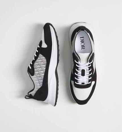 Dior B25