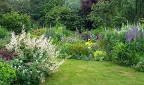 Grasses that are adapted to cool climates are best planted in. When And How To Plant Grass Seed Express Co Uk