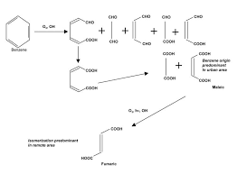 Fumaric Acid - An Overview | Sciencedirect Topics