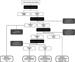 Flow Chart Of Laboratory Diagnosis Of Clostridium Difficile
