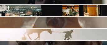 The oscar nominated short films 2019: Oscar Nominated Short Films 2020 Live Action Zekefilm