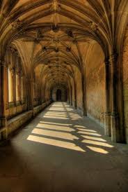 ✓ free for commercial use ✓ high quality images. 18 Zoom Backgrounds Ideas Background Hipster Background Gryffindor Aesthetic