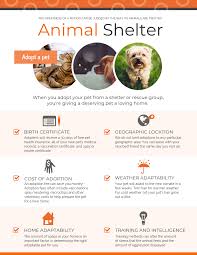 You should prepare and analyze your budget report every month in order to control your budget effectively. Animal Shelter Infographic Template