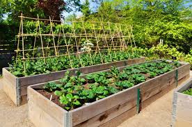 Check spelling or type a new query. Raised Garden Bed Prep Gardens Of Babylon