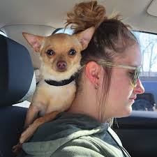 Southern Oregon Humane Society