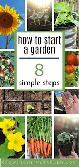9 medium plants per square; Gardening For Beginners How To Start A Garden In 8 Simple Steps Growing In The Garden