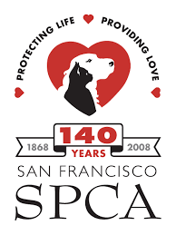 Founded on april 18, 1868, the san francisco spca was the nation's fourth humane society and the first west of the mississippi. San Francisco Spca Warns Of Increase In Deadly Dog Disease Canine Parvovirus Linked To San Francisco Parks