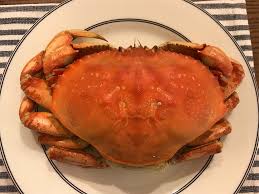 ハーフムーンベイでのカニ(ダンジネスクラブ) の買い付け方法から調理方法まで一挙公開！ - ななとなな夫の関西あちこちライフ