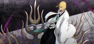 Bleach fans across the world were feeling hopeless due to the lack of a conclusive finale. Shinji Hirako Bleach Wiki Fandom