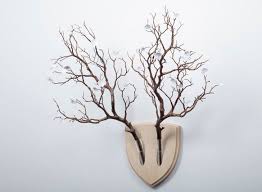 Elkebana S Fun Botanical Wall Trophies Are So Much Better Than Dead Animal Heads Flower Wall Plant Wall Ikebana