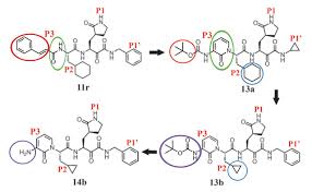 Ketzbook explains molecular geometry, vsepr theory, and the 5 basic shapes of molecules with examples for each one. Crystal Structure Of Sars Cov 2 Main Protease Provides A Basis For Design Of Improved A Ketoamide Inhibitors Science