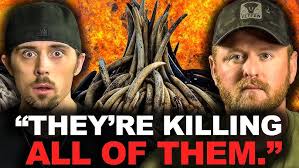 Terminally-ill Black Ops Commander Ponders Death