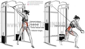 Cable Wood Chop Exercise Instructions And Video Weight Training Guide Wood Chop Exercise Cable Workout Cable Machine Workout