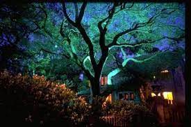 Houston Outdoor Lighting Indoor Art Lights Landscape Lighting Designs Home Automatio Landscape Lighting Outdoor Landscape Lighting Landscape Lighting Design