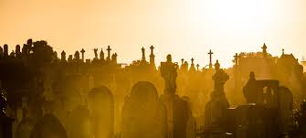 Opened in 1877, it is noted for its largely intact victorian and edwardian monuments. Waverley Cemetery The Dictionary Of Sydney
