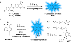 Rapid User Friendly And Inexpensive Detection Of Azidothymidine Springerlink