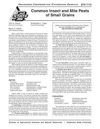 Greenbug offers pest control products for people. Common Insect And Mite Pests Of Small Grains Osu Fact Sheets