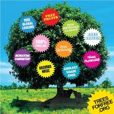 This Is What Tree Gives Us Trees To Plant Plants Tree